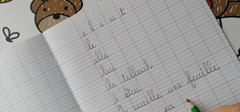 [UNE PROF EN FRANCE] Après l’abandon du stylo-plume, la suppression des mains ?