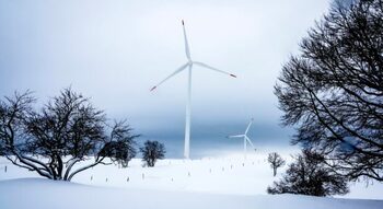 Éoliennes, panneaux solaires, voitures électriques : par grand froid, l’écologie s’enrhume