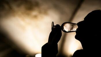 Vins : des recettes exceptionnelles pour les enchères des Hospices de Beaune, mais pas de record