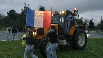 Dermatose : un nouveau cas de la maladie détecté pour la première fois dans l'Aude, le troupeau de dix bovins abattu