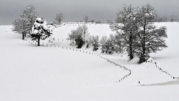 Grand froid : voici les deux départements placés en vigilance jaune ce dimanche