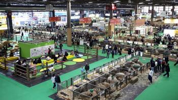 Salon de l'agriculture : combien d'énergie une ferme consomme-t-elle en France ?