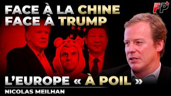 Crise automobile : comment l’Europe a organisé sa propre chute - entretien avec Nicolas Meilhan