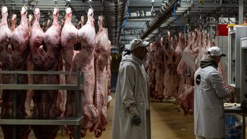 L’État veut inciter les Français à manger moins de viande