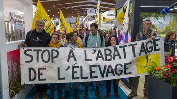 Dermatose nodulaire et abattage : les éleveurs face à la technocratie