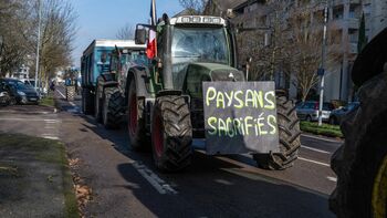 Agriculture : la France à la traîne devant la concurrence venue de l'Union européenne