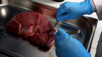 Viande de synthèse : la Hongrie engage le bras de fer avec Bruxelles