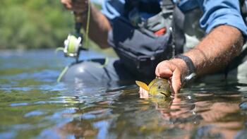 Pêche de loisir : ce qui change à partir de ce samedi