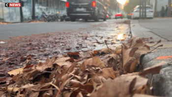 Qui est responsable du nettoyage des feuilles mortes sur la chaussée ?