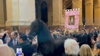 [ANIMAUX] Messe à Saint-Roch pour Brigitte Bardot : la croix, le cheval et la bannière