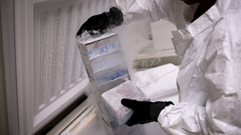 Vaccins anti-cancer : tout savoir sur la start-up française Transgene, qui vient de lever 100 millions d'euros