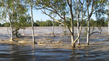 Crues : voici les 2 départements placés en vigilance jaune ce jeudi