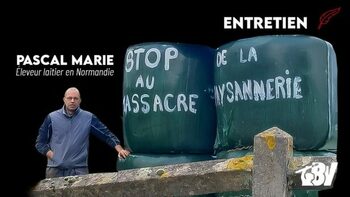 [ENTRETIEN] « Cette mobilisation paysanne peut aller très très loin »