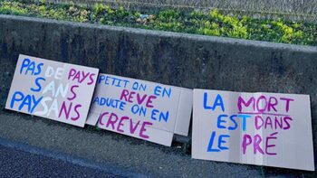 [VOTRE AVIS] Soutenez-vous les agriculteurs qui s’opposent à l’abattage systématique des troupeaux ?