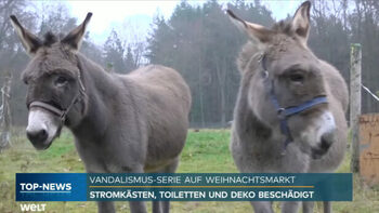 [ANIMAUX] Crèche vivante : deux ânes frappés par un « groupe de jeunes », en Allemagne