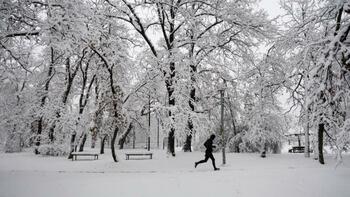 Vendée : malgré une couche de neige «exceptionnelle», la situation dans le département est «maîtrisée», affirme le&nbsp;(…)