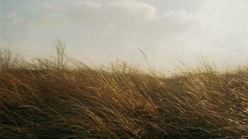 Vents violents : voici les deux départements placés en vigilance jaune ce dimanche