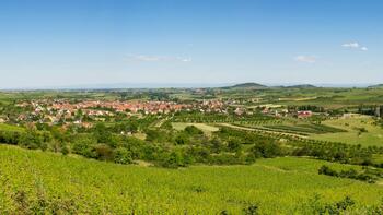 Inégalités femmes/hommes : quand vivre à la campagne les accentue, selon une étude
