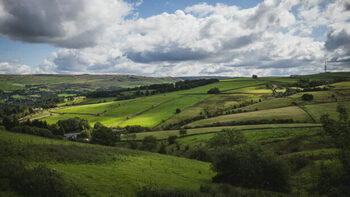 C’est leur obsession : les campagnes anglaises sont trop blanches