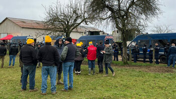 [ANIMAUX] Dermatose nodulaire : et maintenant, on abat des bêtes vaccinées