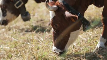 [POINT DE VUE] Agriculture : un « Certificat de compétence »…