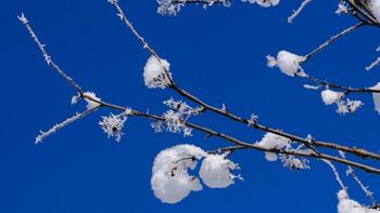 Météo : voici où vont tomber les premiers flocons de neige cette semaine