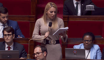 Les Verts proposent une subvention de 4.000 euros pour… embaucher un réfugié !