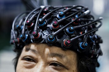 Mini cerveaux, vertigineuses questions : la science fait une échappée loin devant l'éthique