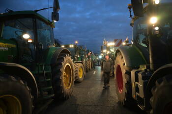 Crise de la dermatose nodulaire contagieuse : la conjuration des antisystème