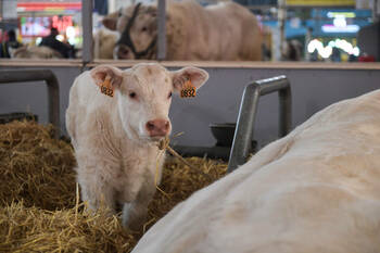 Entre dermatose et crise agricole, le Salon de l'agriculture veut rester un lieu de débats