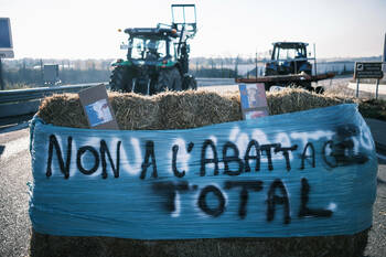 Crise agricole, le virus de la défiance