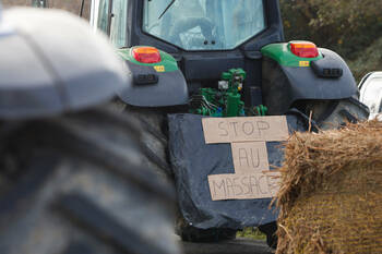 Dermatose nodulaire : une réunion attendue à Matignon, la ministre de l'Agriculture défend sa stratégie
