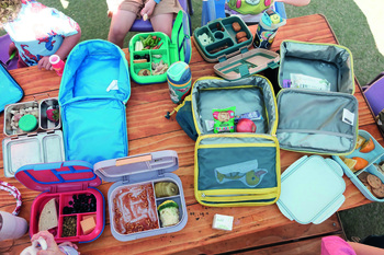 Les « comptes Trump » pour les nouveau-nés peuvent-ils relancer la natalité aux Etats-Unis ?