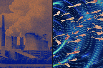 Controverse autour de la « discothèque pour poissons » du réacteur nucléaire d’EDF au Royaume-Uni