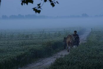 [CINÉMA] Le Temps des moissons, la Chine rurale en voie de modernisation