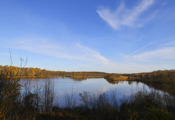 Simplification environnementale : Bruxelles risque l'effet « loi Duplomb »