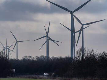 Budget : les députés écolos victimes d'un « chantage au vote » sur les énergies renouvelables ?
